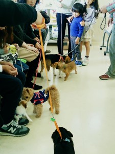 C360_2015-12-20-13-20-35-738